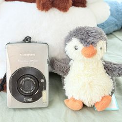Canon PowerShot SD750 ELPH 7.1MP Point & Shoot Silver 3x Zoom Built-in Flash
