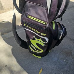 Cobra Golf Bag