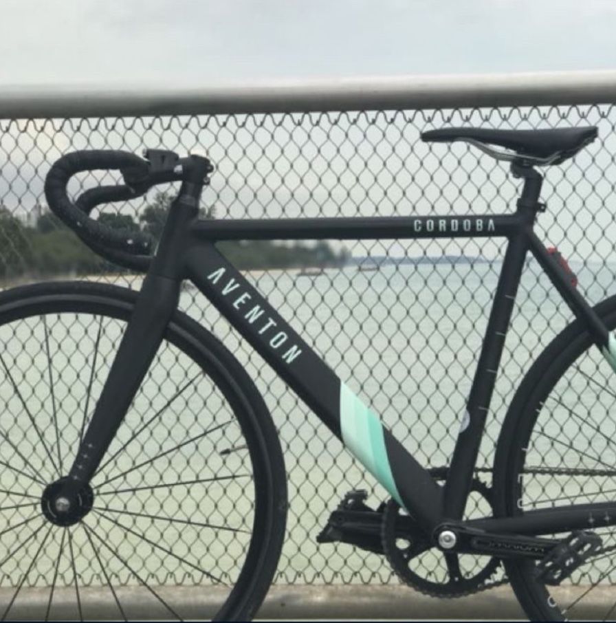 bull mountainbike ICONIC EVO TR 2 SPEED  BULLS Bikes USA