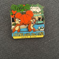 Chip And Dale Disney Pin