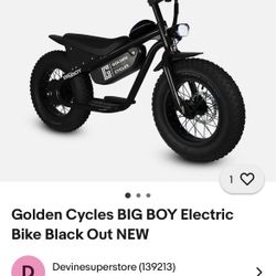 Big Boy Electric Bikes
