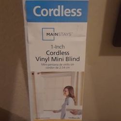 Cordless Mini Blind