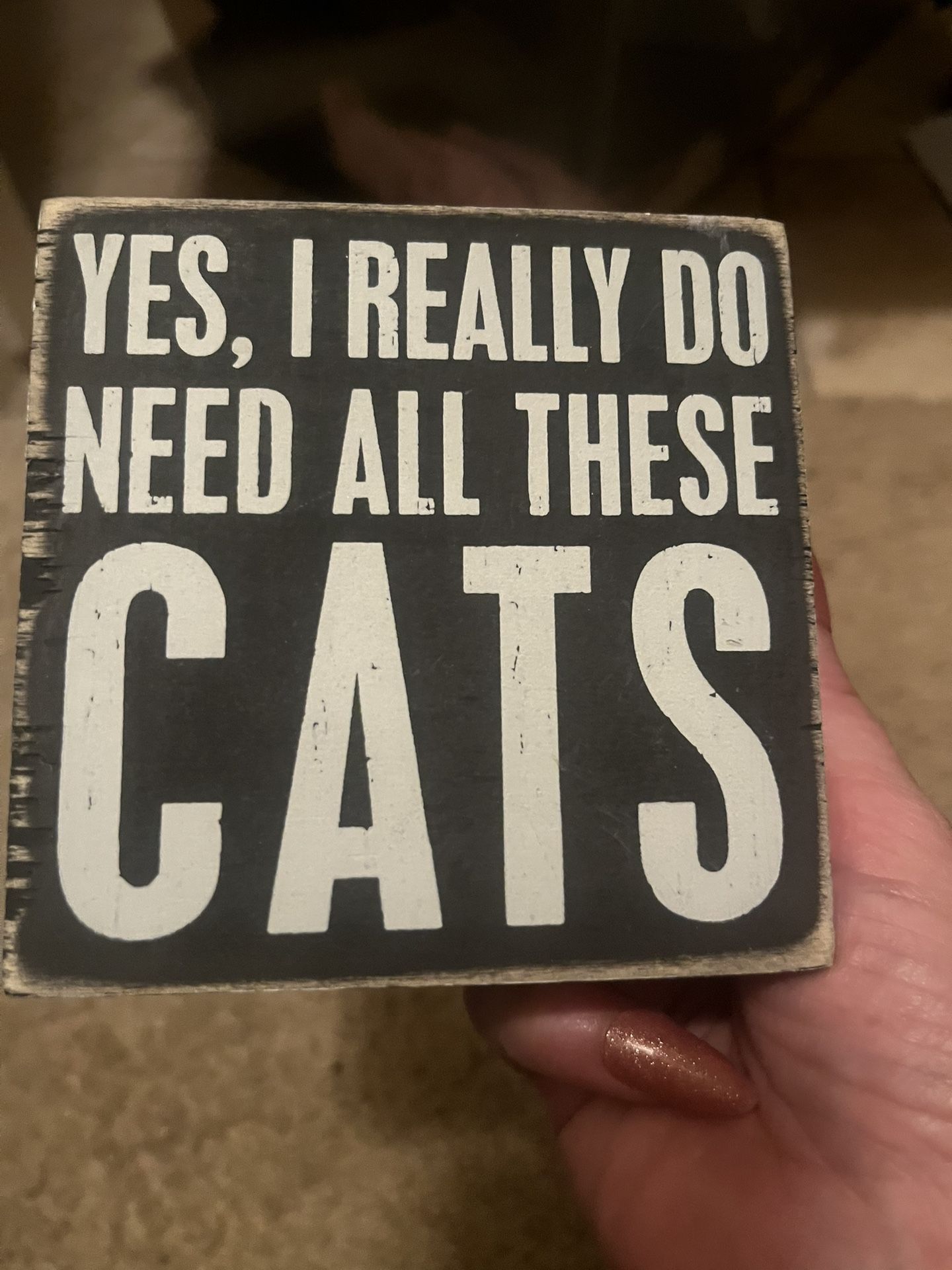 Cat Lover Decor