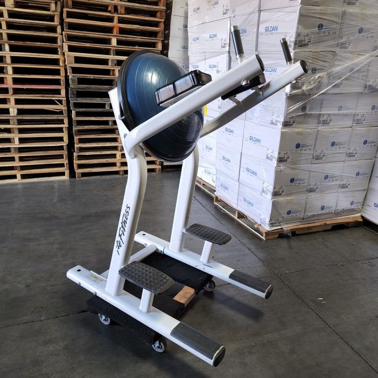 Life Fitness Bosu VKR Leg Raise