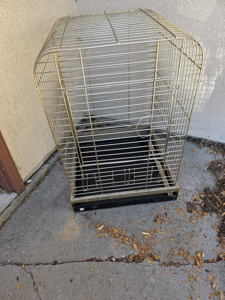 Bird Cage