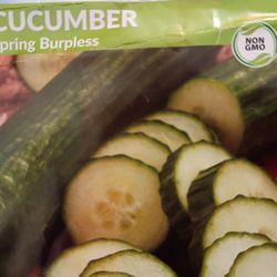 Homegrown Garden Starters Vegetables And Fruit $3 Each By College And Oceanside Boulevard Come And Get Them While They Last