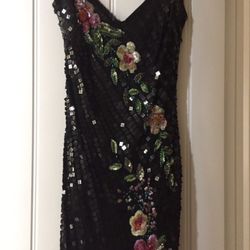 Stunning Caché Dress - 100% Silk Size 4 - Formal/Prom/pageant