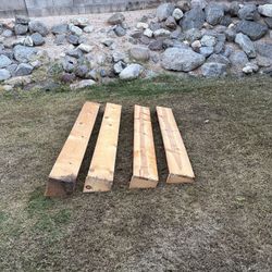 Dog Training Long Jump Boards