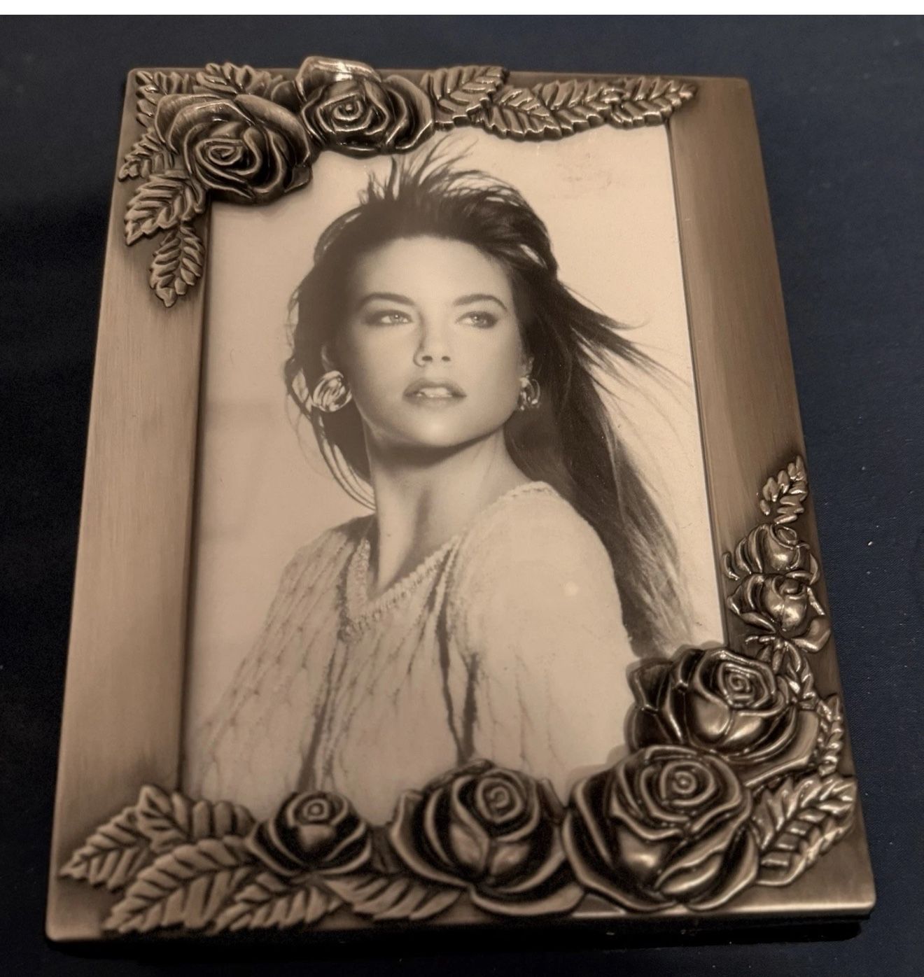 Vtg Royal Limited "Silver" Photo Rose Mini Album NIB Holds 80 4x6 #21546