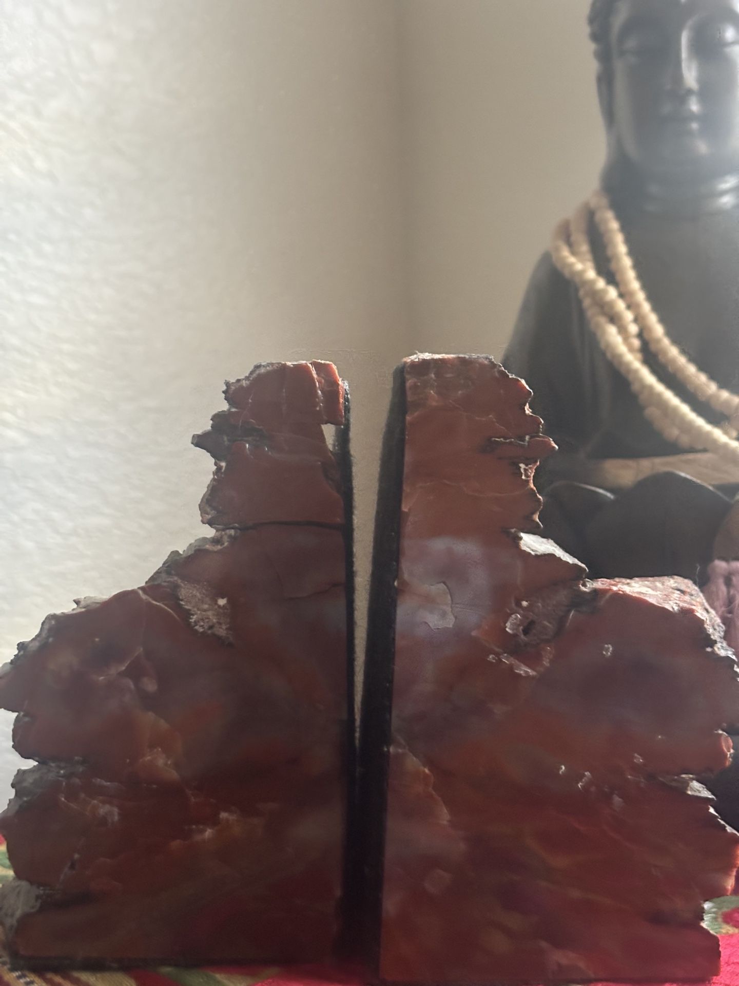 Beautiful Petrified Wood Book Holders $40