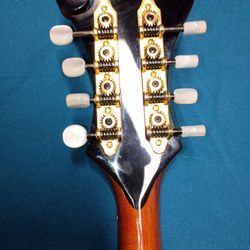 Michael Kelly Mandolin 