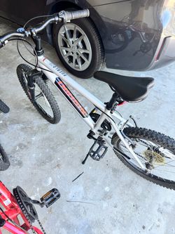 Boys Mountain Bike 20”