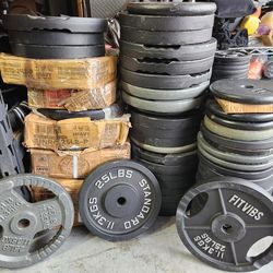 HUGE LOT of Standard Sized 1" Weights