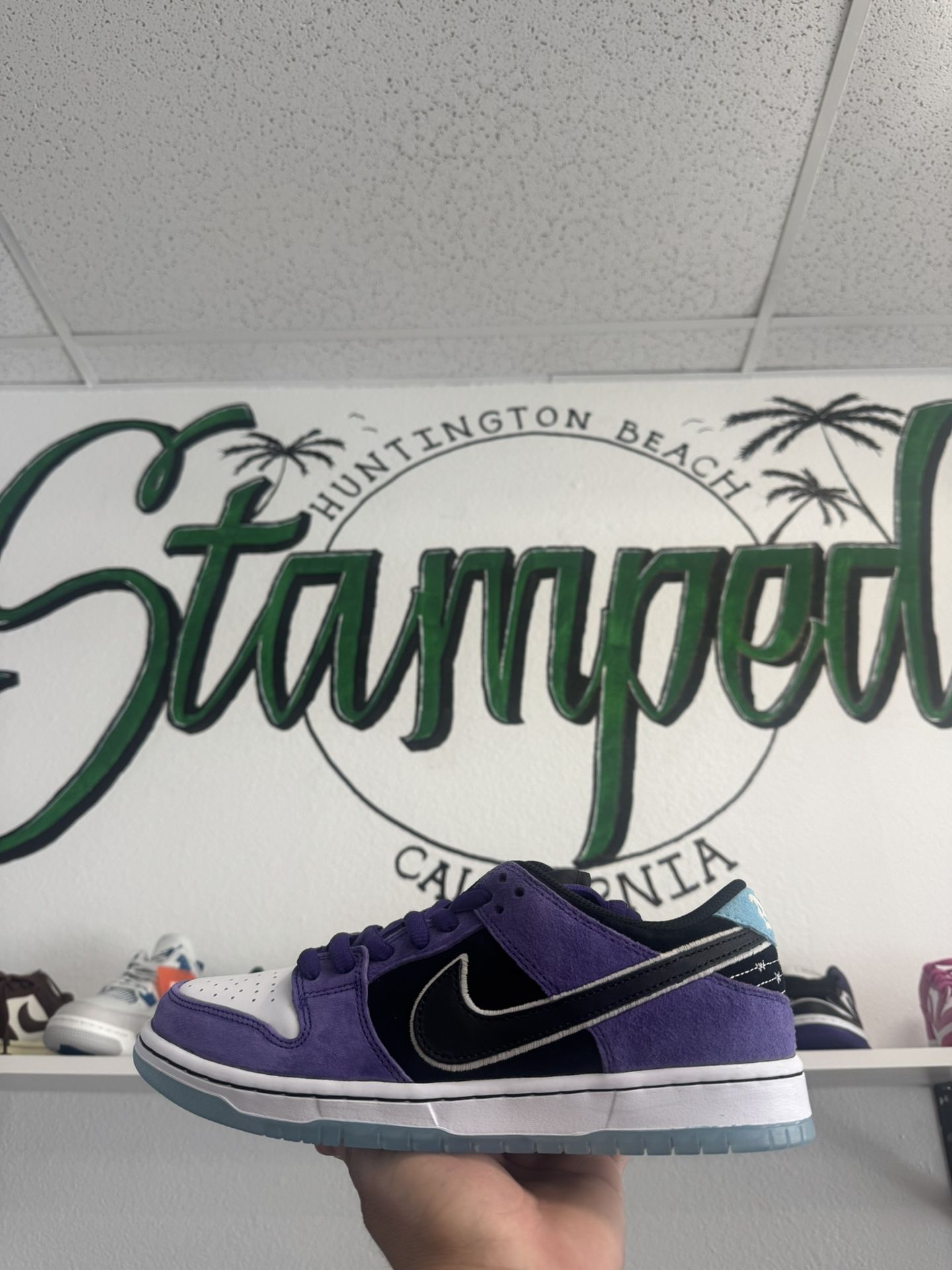 Sb Dunk Hayley Wilson