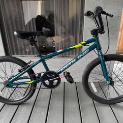 BMX Redline Roam