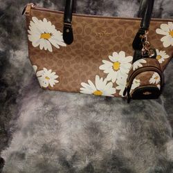 Coach Good Size Purae