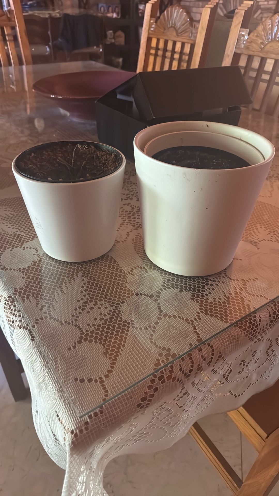 2 Flower Pots