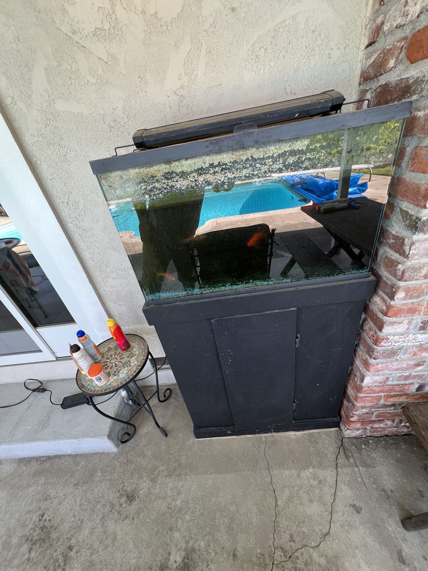 30 Gallon Fish Tank