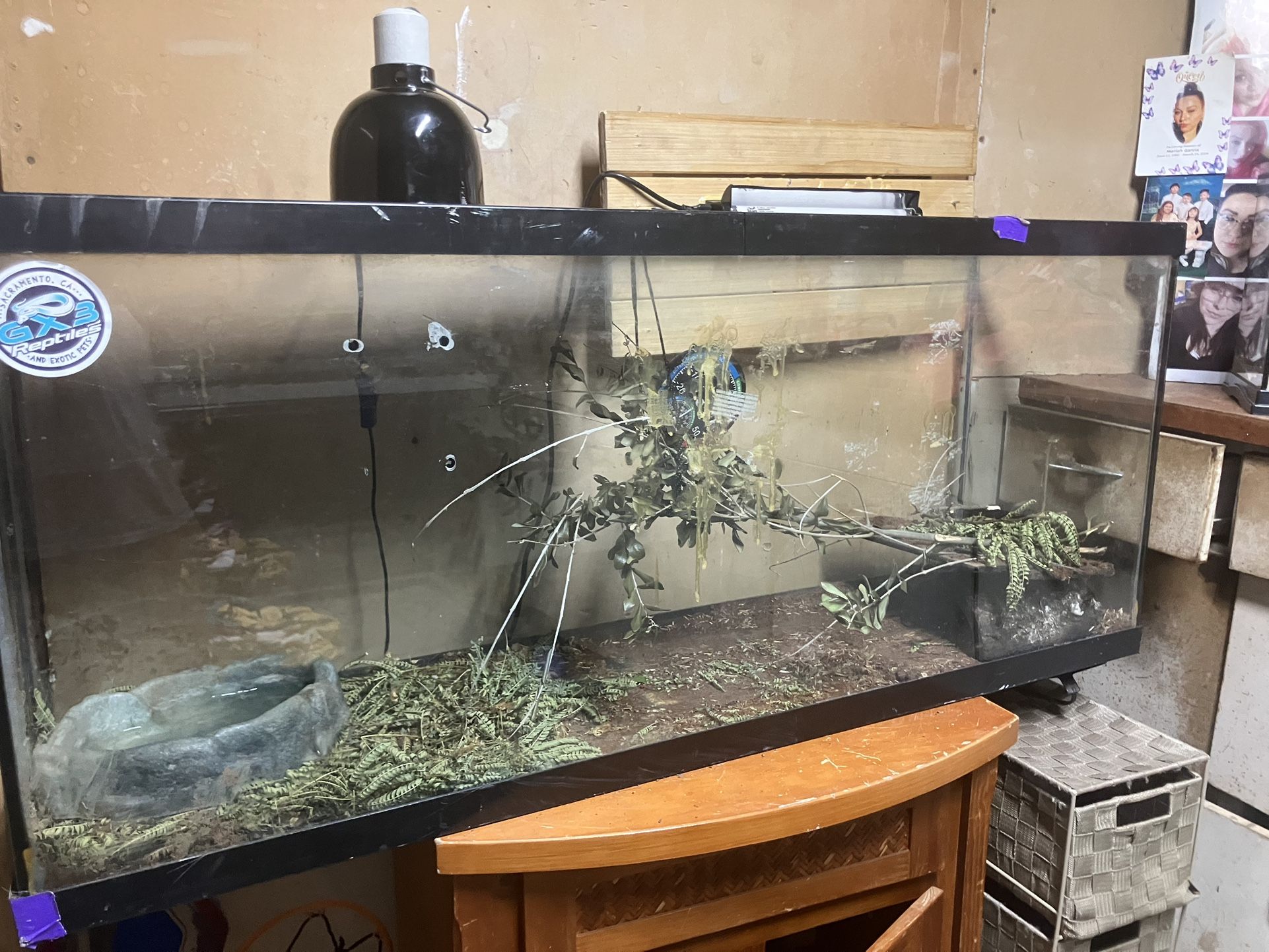 Looking For Trading for a bigger one