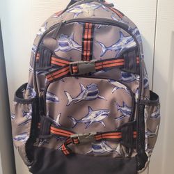 Kids School Backpack With Lunch Box 