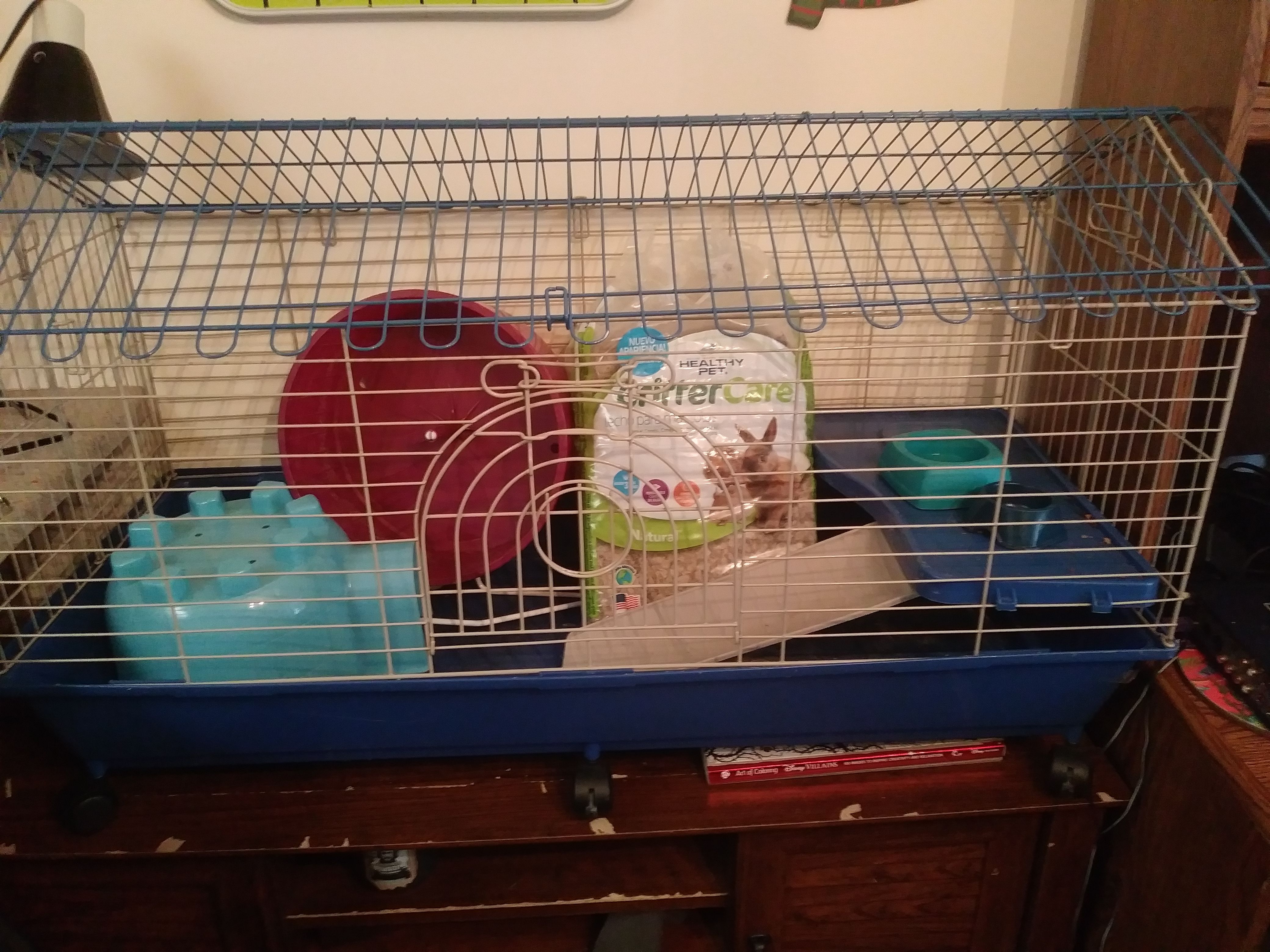 Hedgehog cage