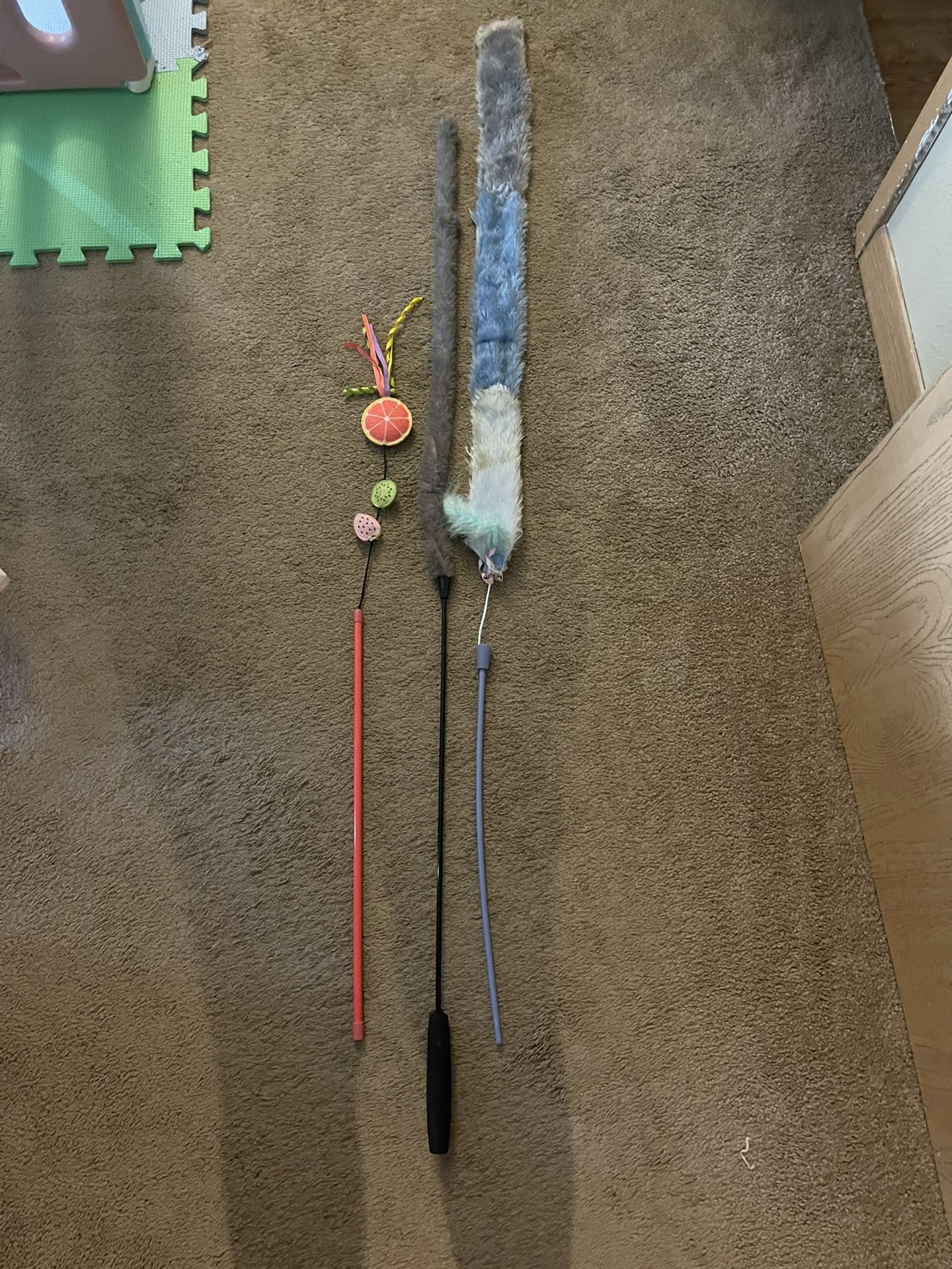 Cat Supplies & Items