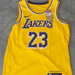 LeBron Jersey 
