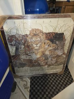 Cat Family 28 x 31 Frame