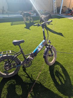 Lectric xp 3.0 Bike