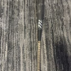 Easton posey bat 29/21