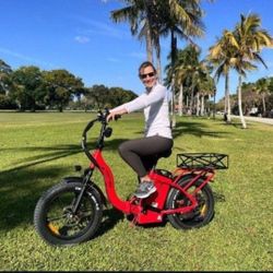 Long Distance Folding E-bike 80-120 Miles in 1 Charge