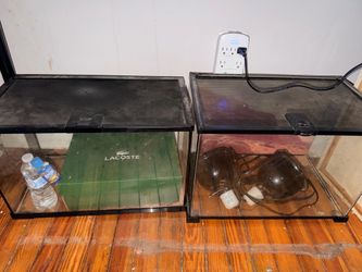 Lizard tanks