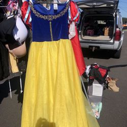 Princess Disney dress