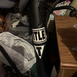 Punching Bag And Gloves 