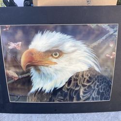 Eagle Head Artwork