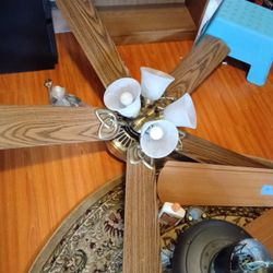 Ceiling Fan