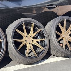 Element EL36 Rims