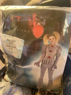 IT Costume