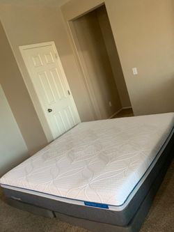KING SEALY MATTRESS AND FREE BOX SPRINGS