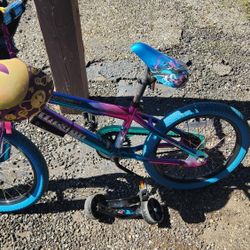 Kids Bike W/training Wheels 