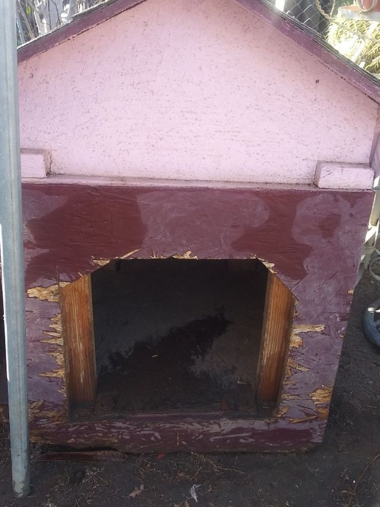 Dog House