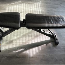 Workout Bench