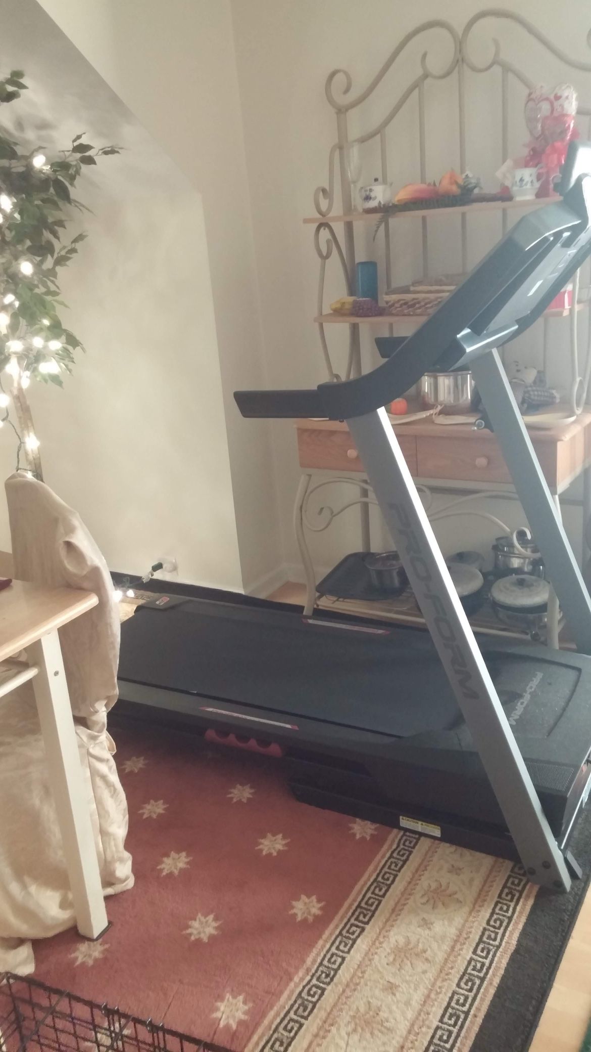 Pro Form Treadmill