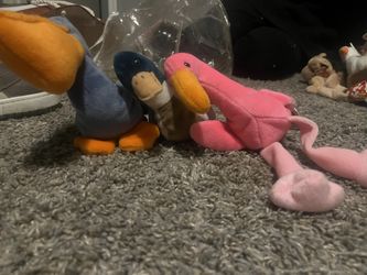 Beanie Babies