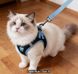 Premium Cat Harness and Leash Set 1 Count in Color Blue Size XS