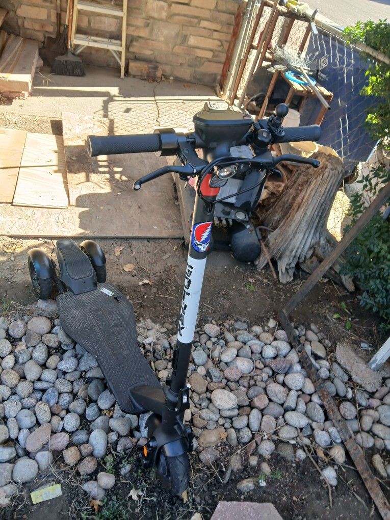 Gotrax Electric Scooter