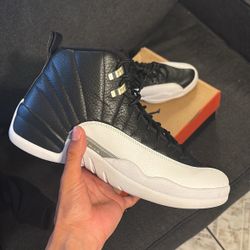 jordan 12 play offs 