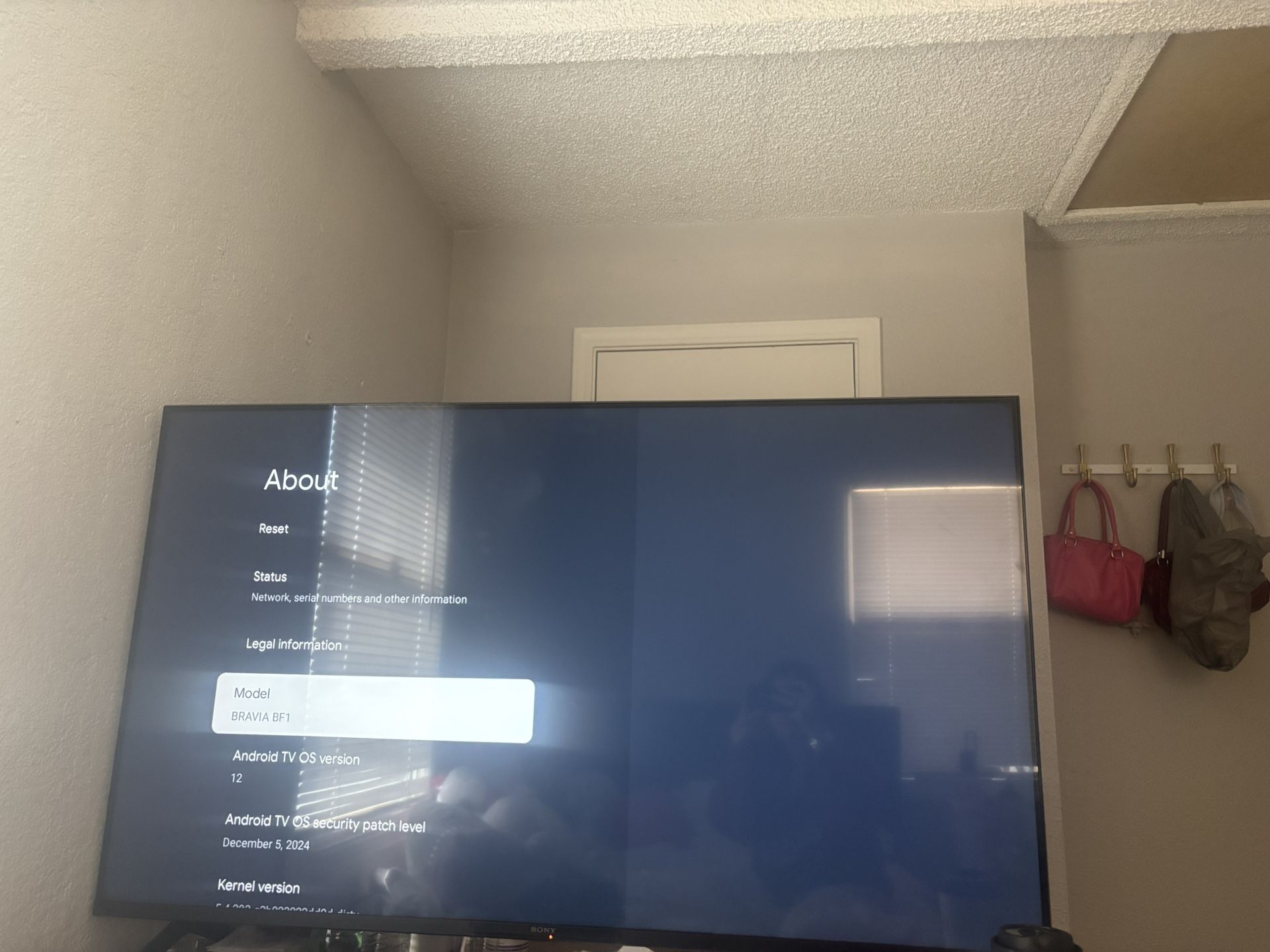 SONY BRAVIA BF1