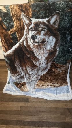 wolf-like