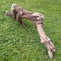 Genuine Driftwood For Aquariums Terrariums Etc. 